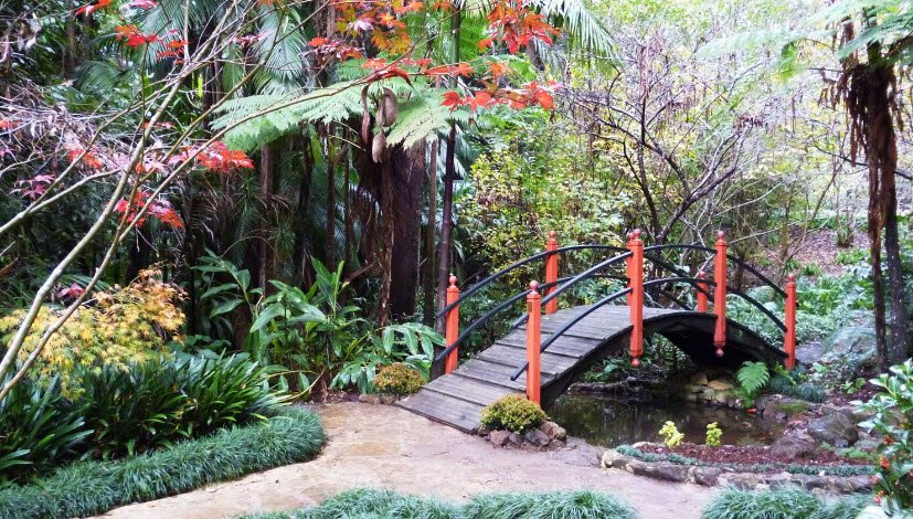 Tamborine Mountain Regional Botanic Gardens, Mount Tamborine, Australia, Australia